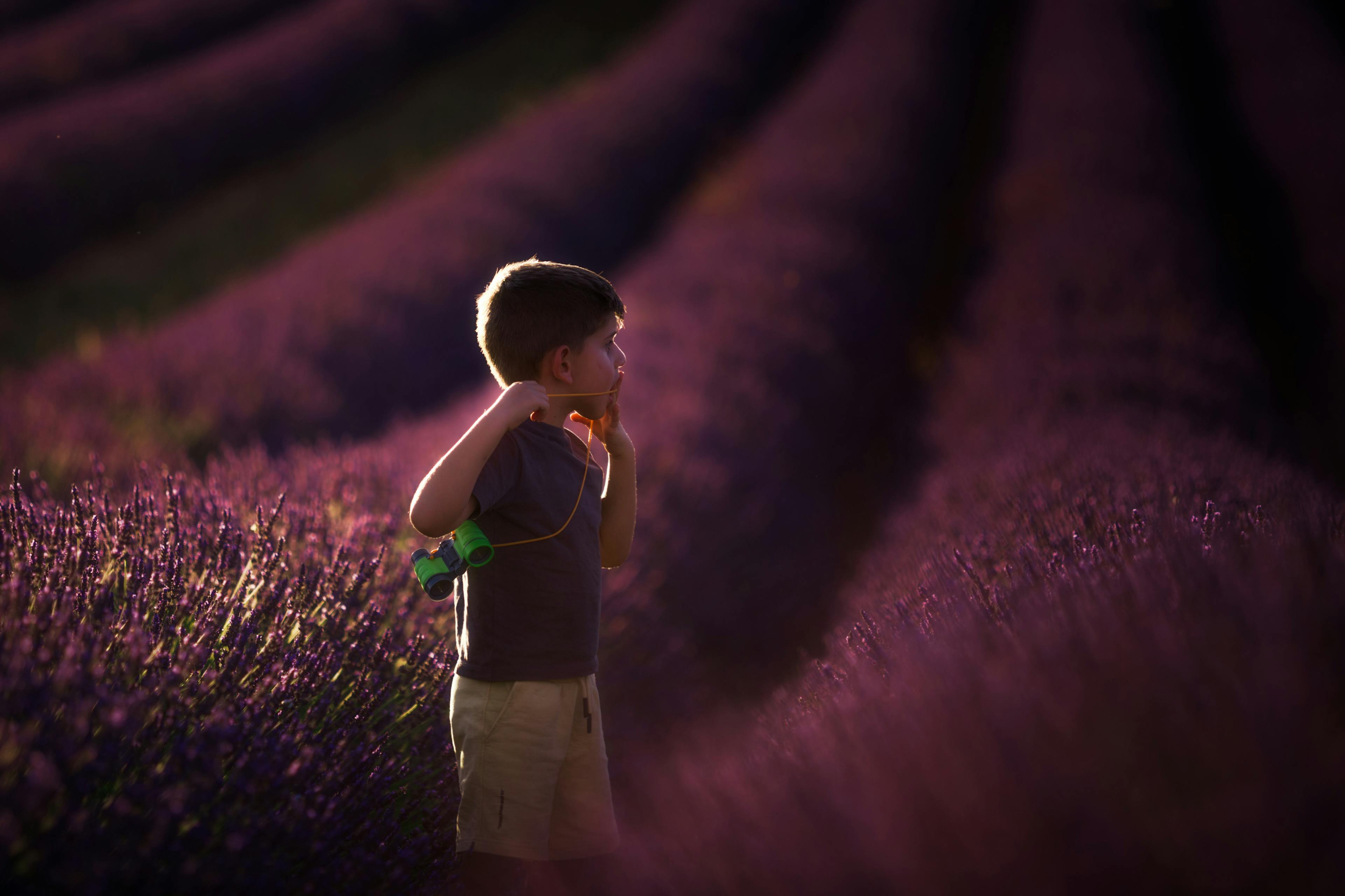 Family Time on Lavenders (II)
